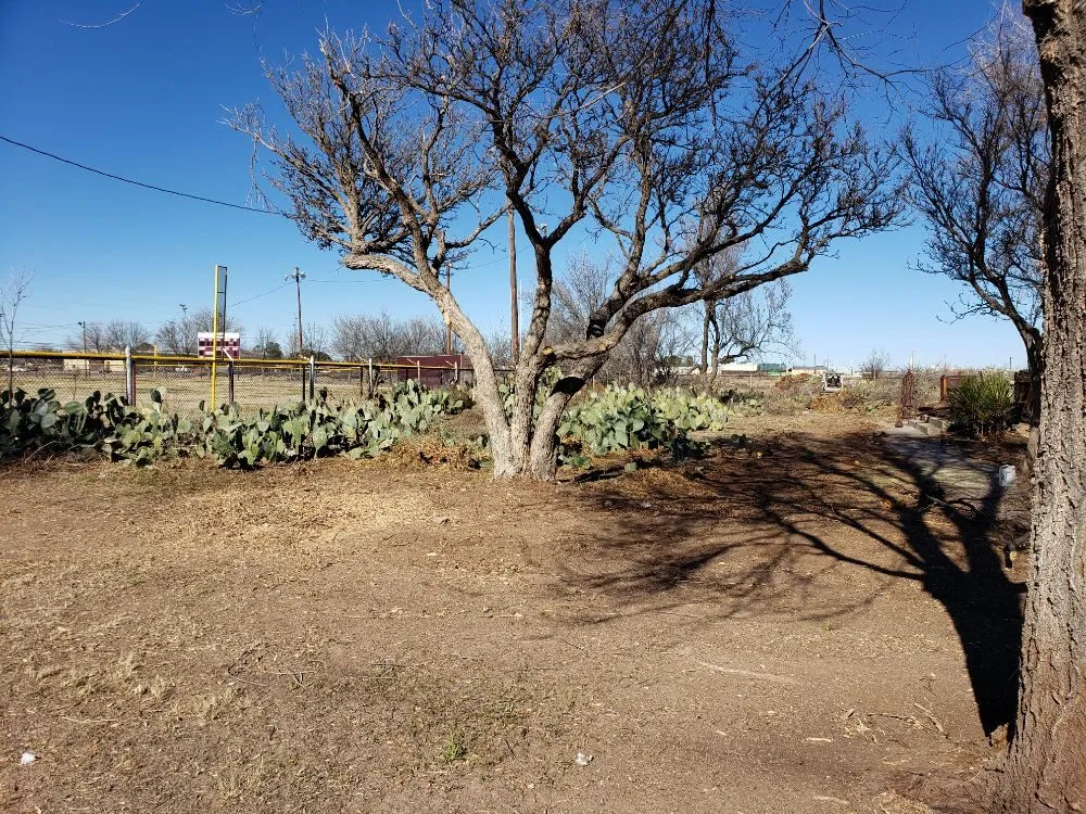 Affordable yard maintenance experts serving Kermit, TX - Tree Of Life