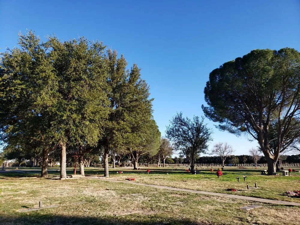 Affordable landscape installation near you across Kermit, TX - Tree Of Life