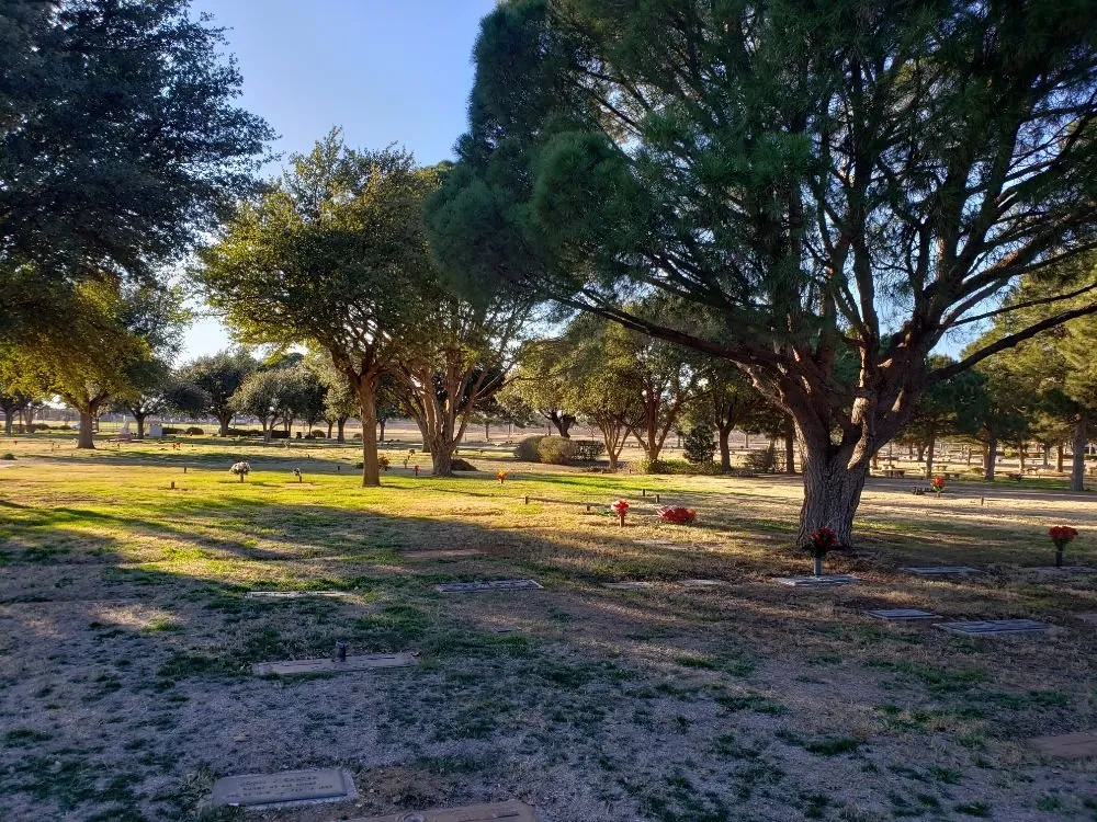 Reliable yard maintenance in Kermit, TX by Tree Of Life