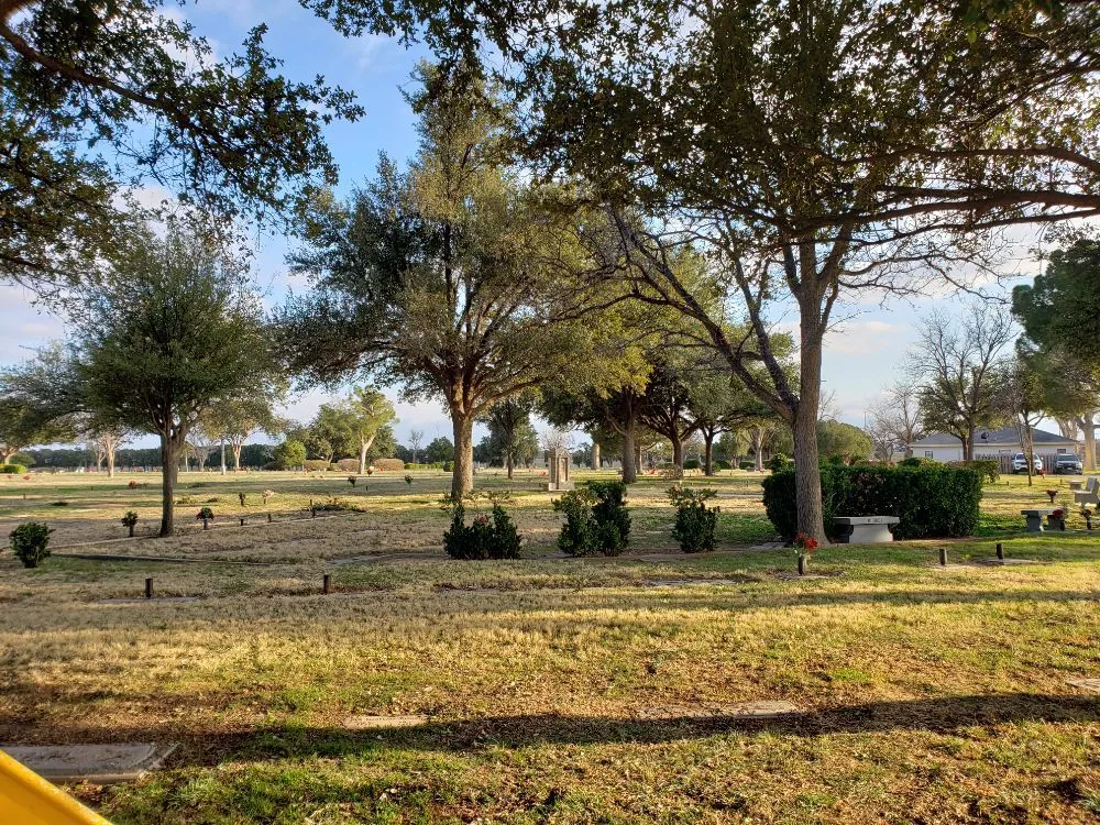 Affordable landscaping services for beautiful yards across Kermit, TX - Tree Of Life