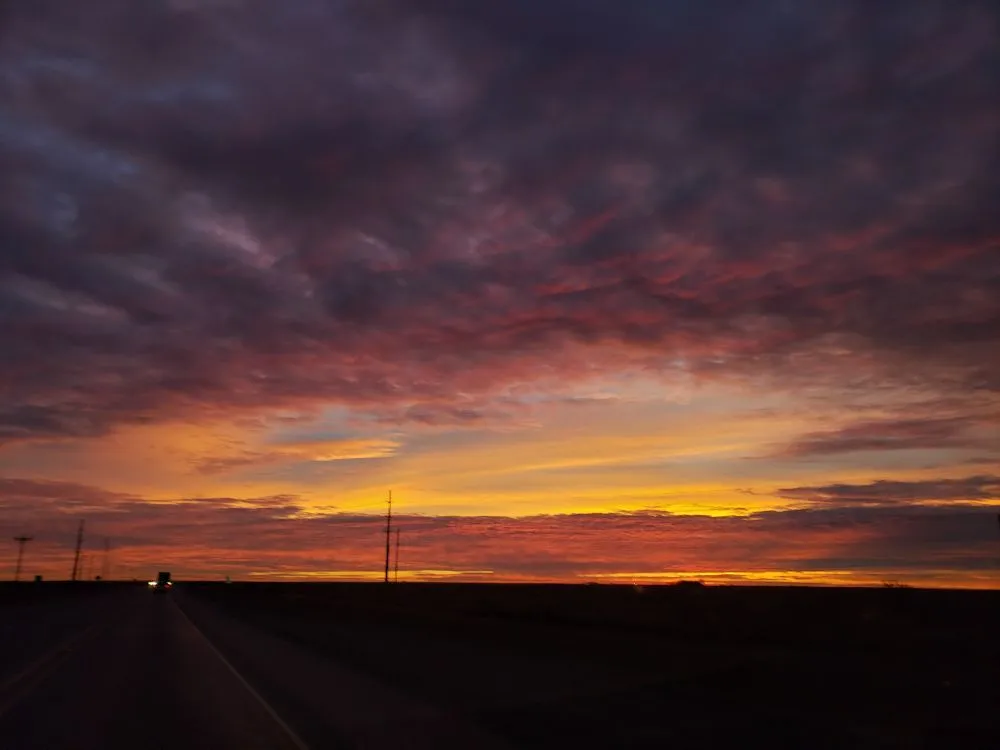 Expert lawn mowing service in Kermit, TX by Tree Of Life