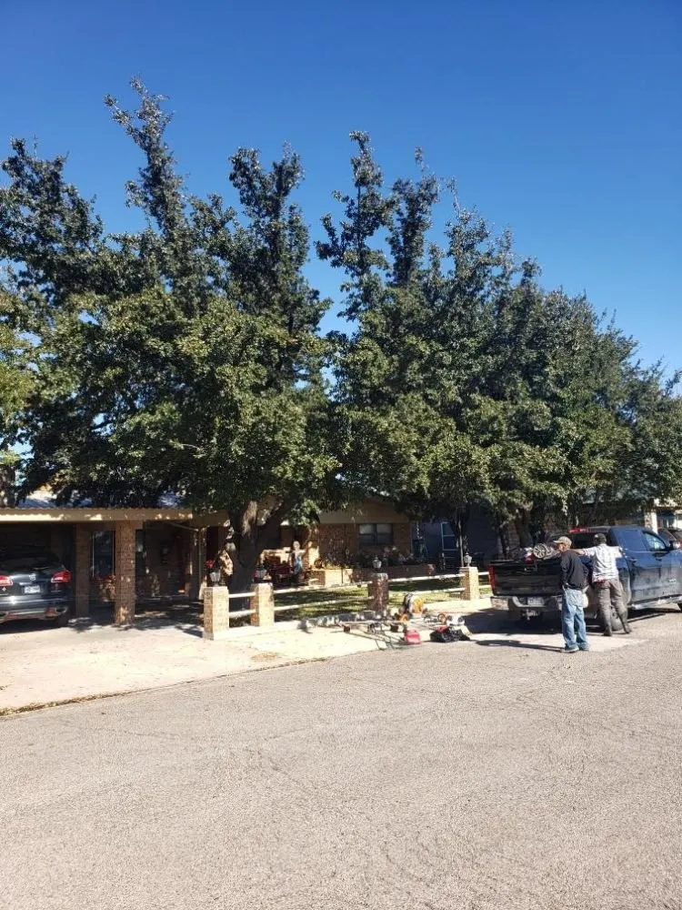 Reliable residential landscaping in Kermit, TX - Tree Of Life