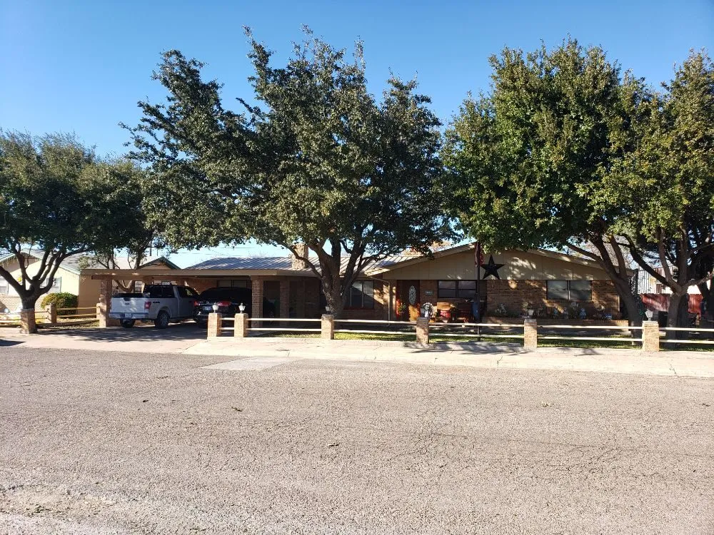 Professional yard maintenance in Kermit, TX by Tree Of Life