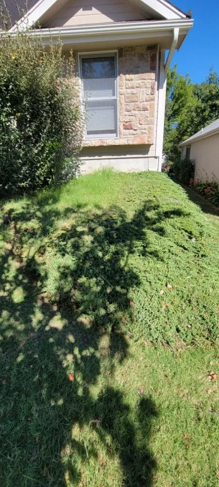 Expert lawn care service experts serving Carbondale, KS - Tree of Life Landscaping