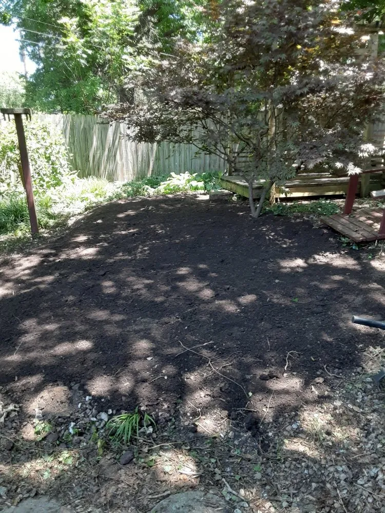 Expert landscaping services for homes in Carbondale, KS by Tree of Life Landscaping