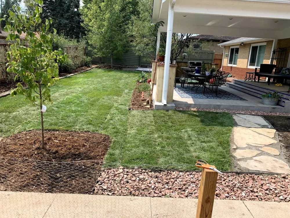 Professional landscape installation in Colorado Springs, CO - Tree of Life Landscaping