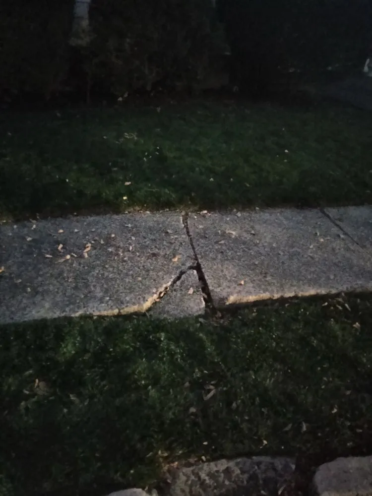 Trusted landscape installation with custom design in Maplewood, NJ by Tree Of Life Landscaping