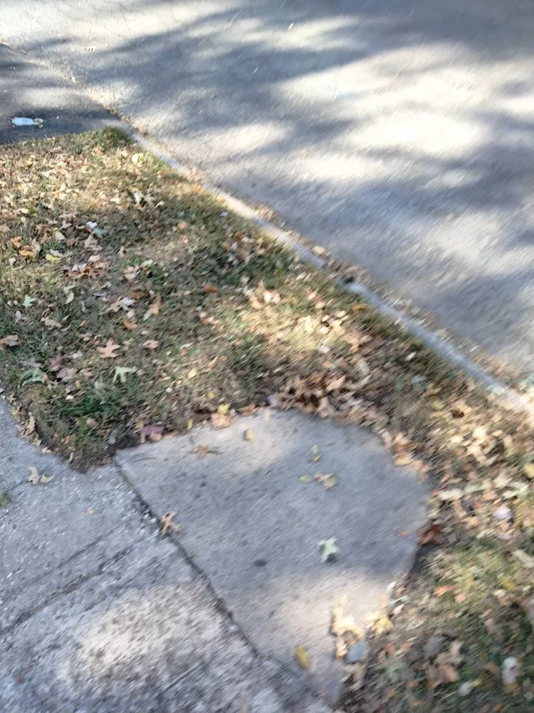 Expert yard cleanup service for beautiful yards across Maplewood, NJ - Tree Of Life Landscaping