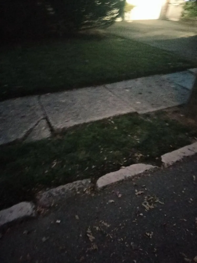 Reliable yard cleanup service experts serving Maplewood, NJ - Tree Of Life Landscaping