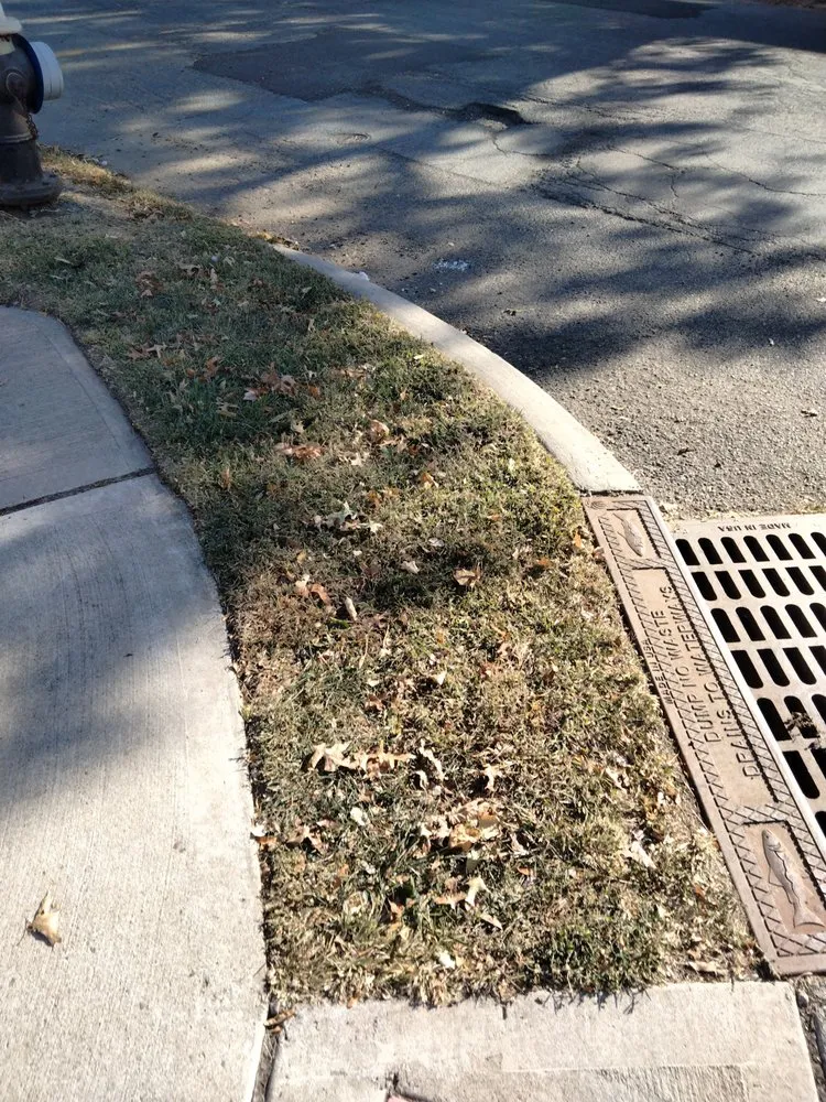 Expert yard cleanup service in Maplewood, NJ - Tree Of Life Landscaping