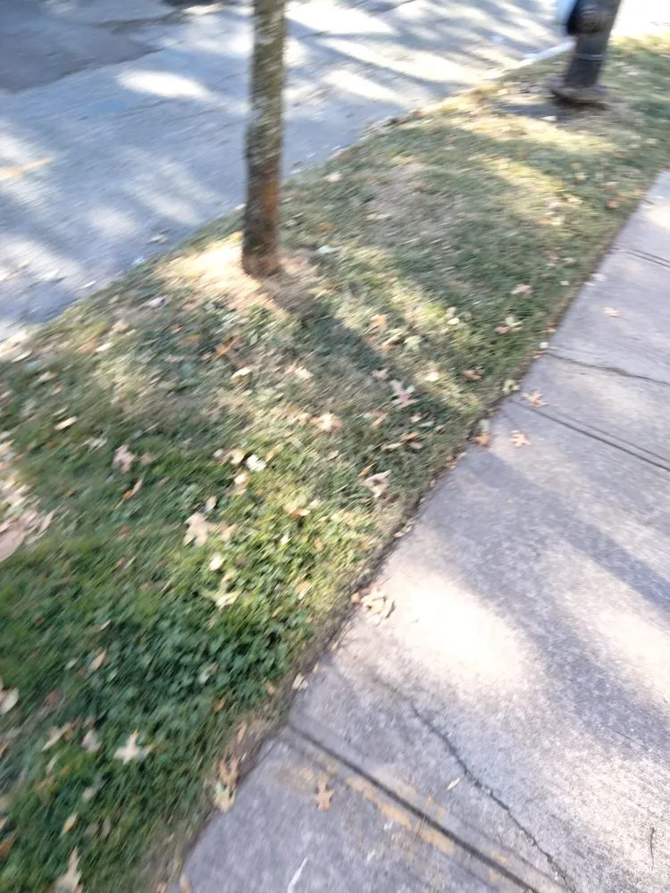 Reliable outdoor landscaping experts serving Maplewood, NJ - Tree Of Life Landscaping