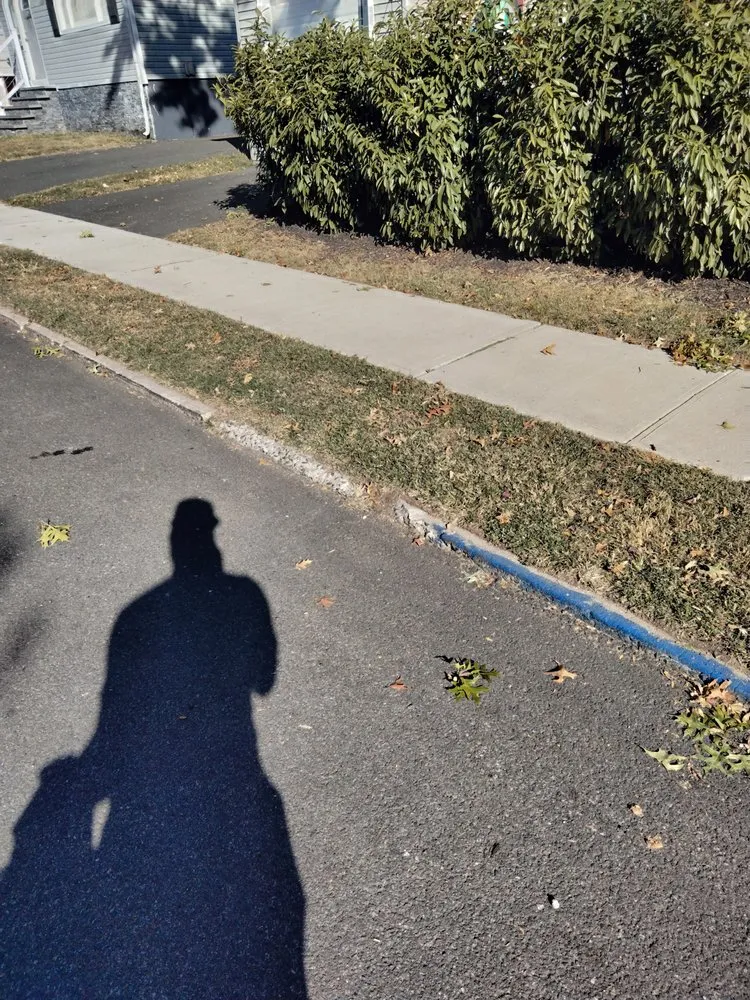 Expert landscaping services for year-round maintenance in Maplewood, NJ by Tree Of Life Landscaping