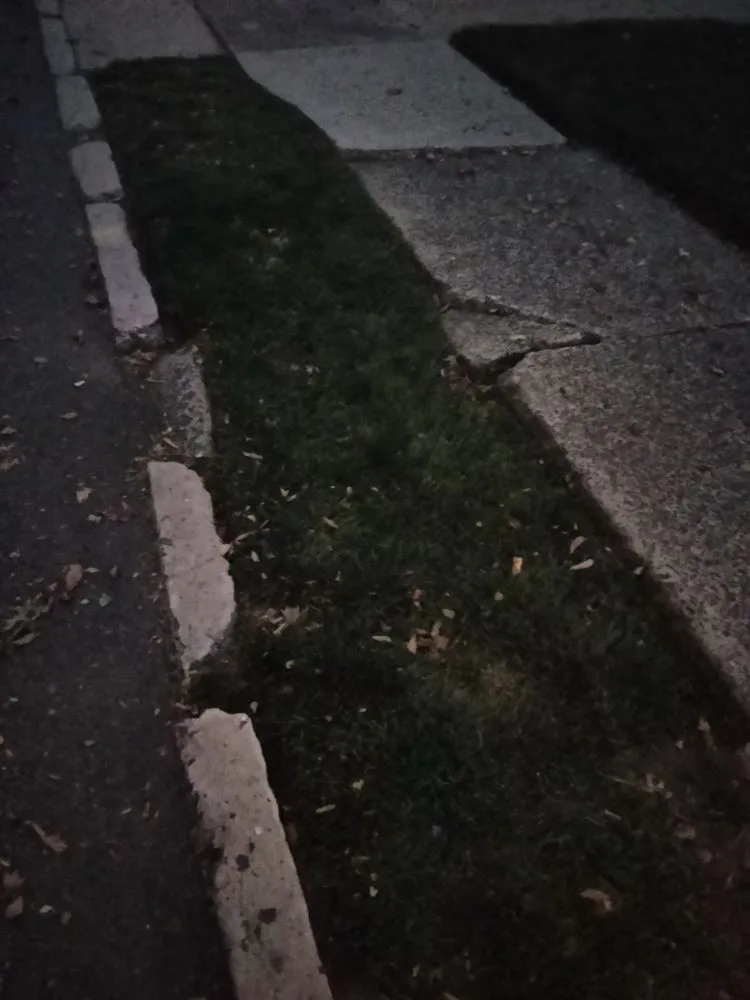 Trusted landscape design in Maplewood, NJ by Tree Of Life Landscaping