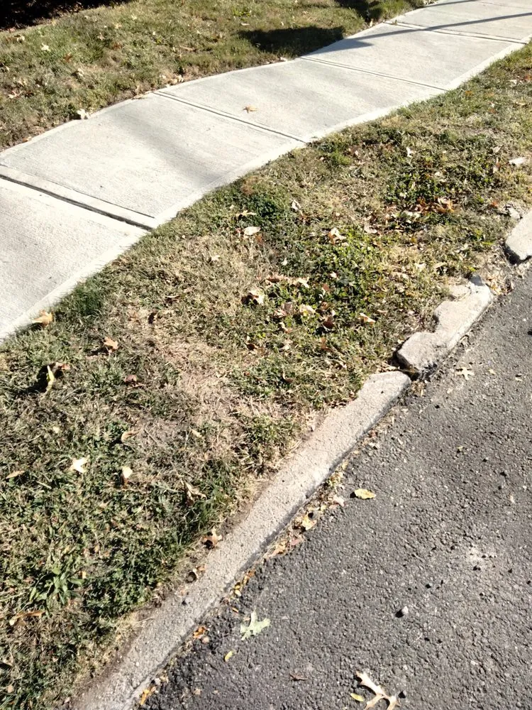 Professional garden landscaping in Maplewood, NJ by Tree Of Life Landscaping