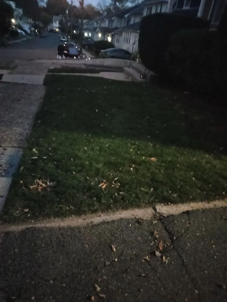 Trusted garden landscaping in Maplewood, NJ - Tree Of Life Landscaping