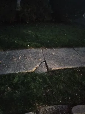 Tree Of Life Landscaping