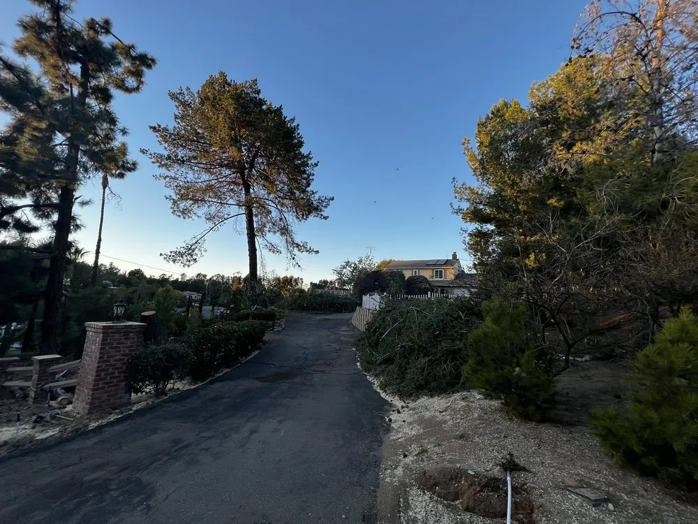 Reliable residential landscaping in San Diego, CA - Tree of Life Landscaping