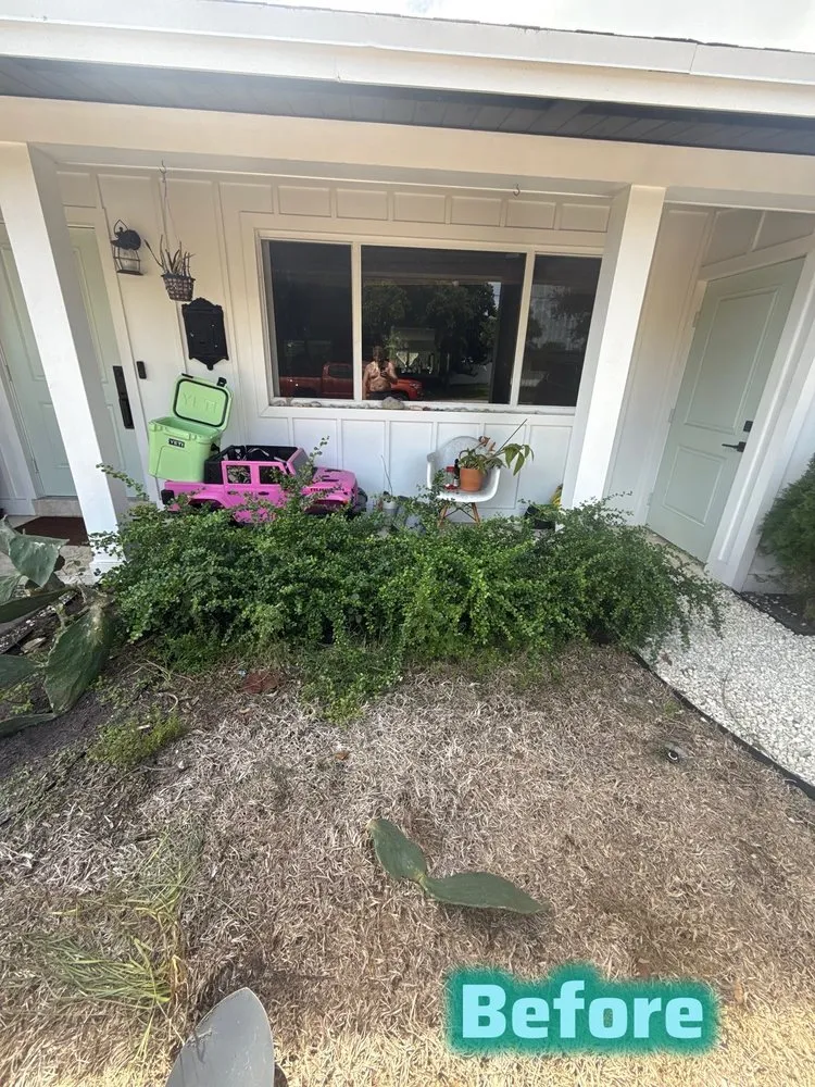 Expert landscaping services in Pompano Beach, FL - Tree of Life Landscaping Specialist