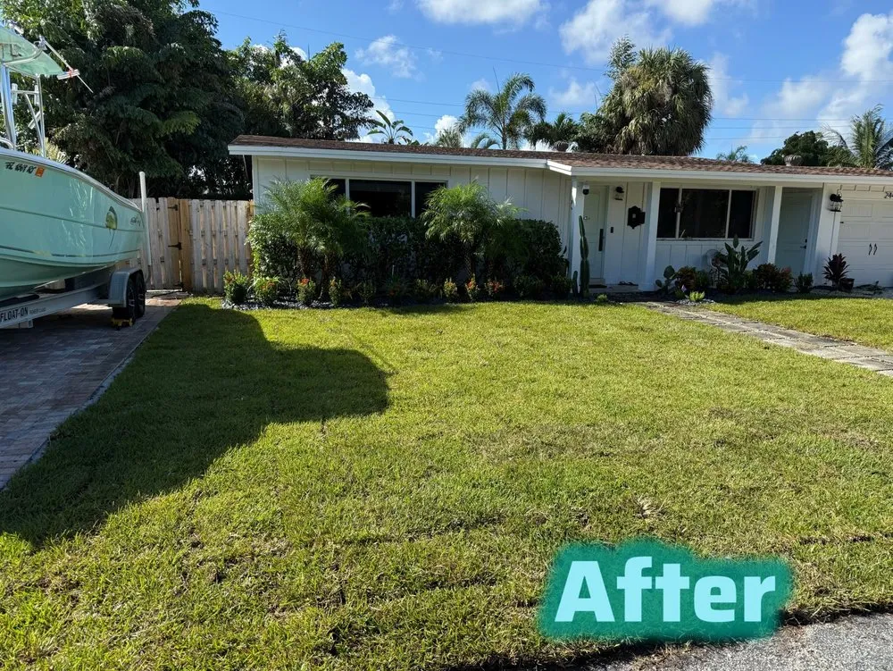 Trusted yard cleanup service for residential properties across Pompano Beach, FL - Tree of Life Landscaping Specialist