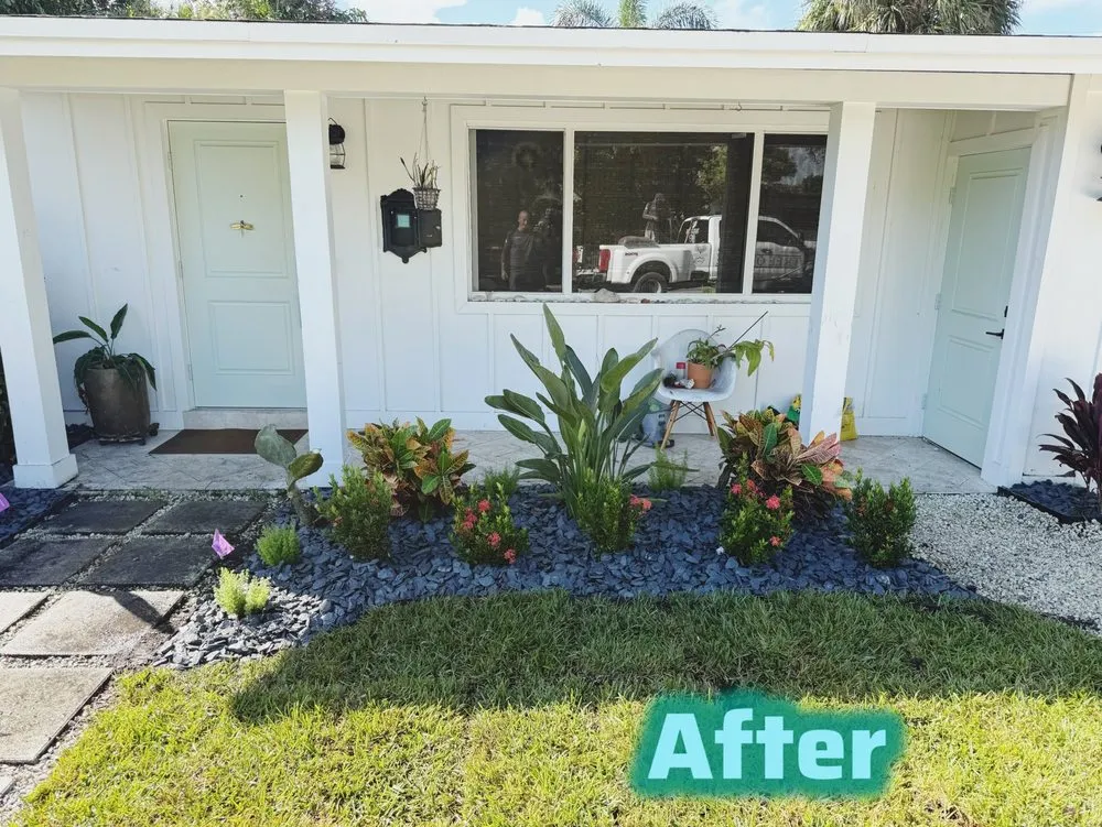 Expert yard cleanup service in Pompano Beach, FL - Tree of Life Landscaping Specialist