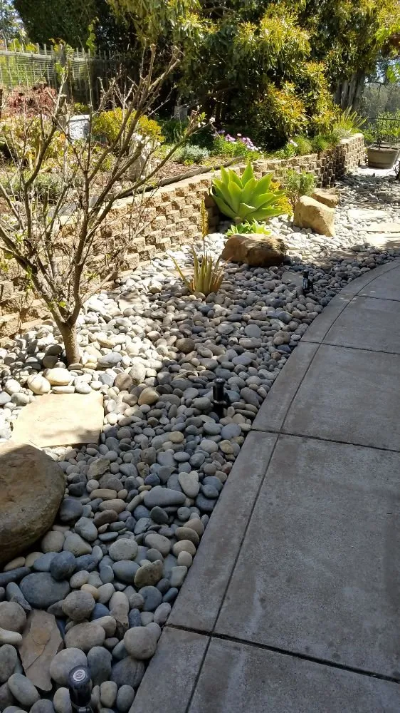 Custom lawn mowing service in Grover Beach, CA by Tree of Life Lawn and Gardening Service