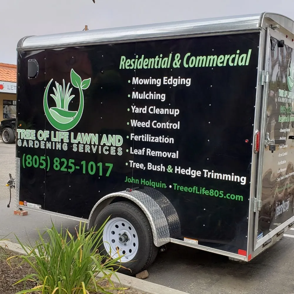 Affordable landscape design with custom design in Grover Beach, CA by Tree of Life Lawn and Gardening Service