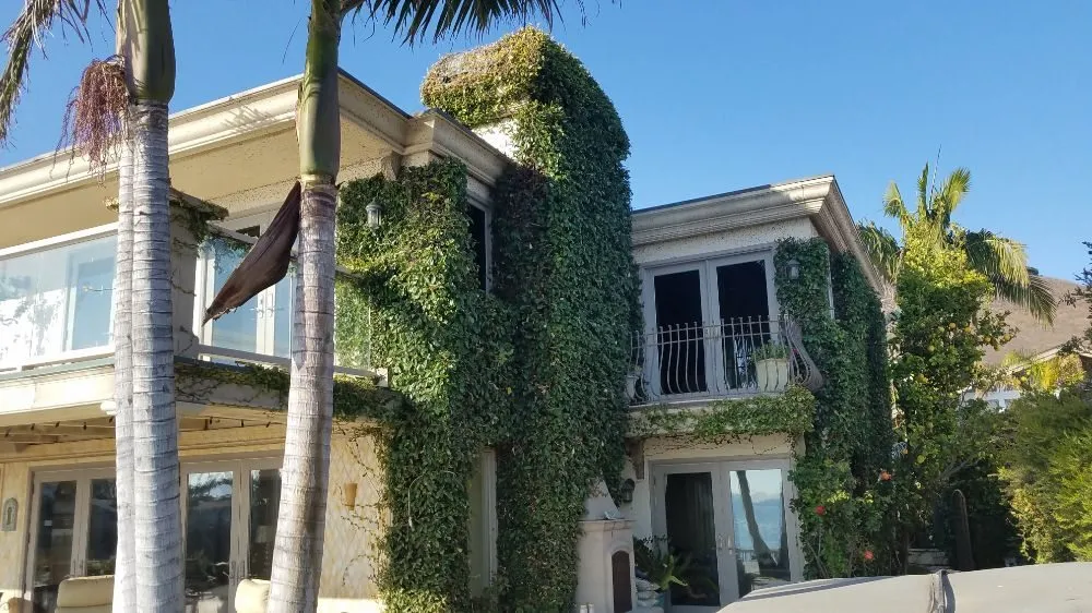 Expert landscaping services near you across Grover Beach, CA - Tree of Life Lawn and Gardening Service