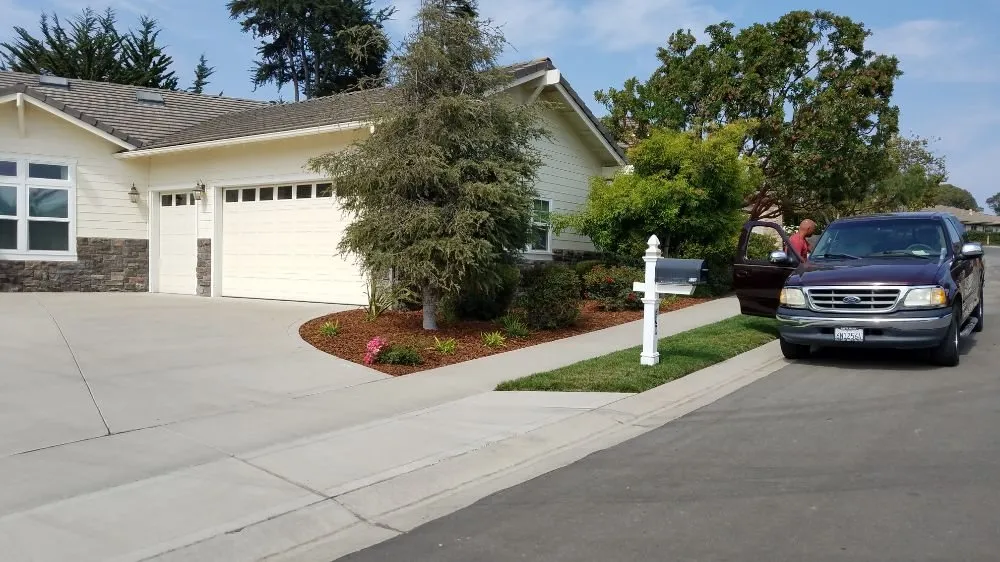 Expert residential landscaping in Grover Beach, CA by Tree of Life Lawn and Gardening Service
