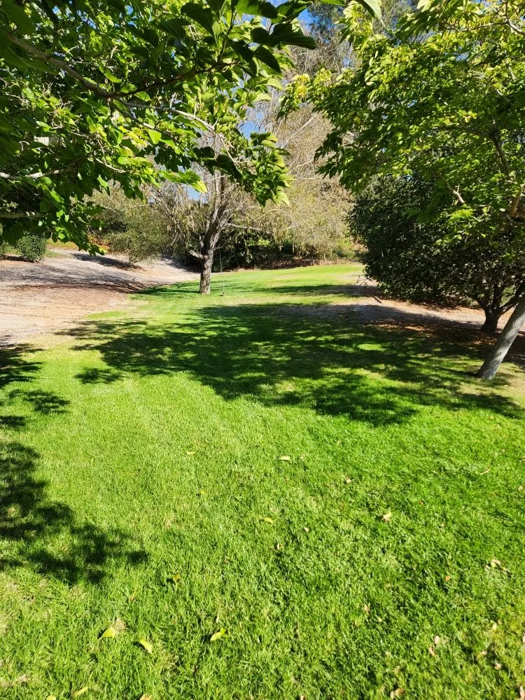 Reliable landscape design for residential properties across Grover Beach, CA - Tree of Life Lawn and Gardening Service