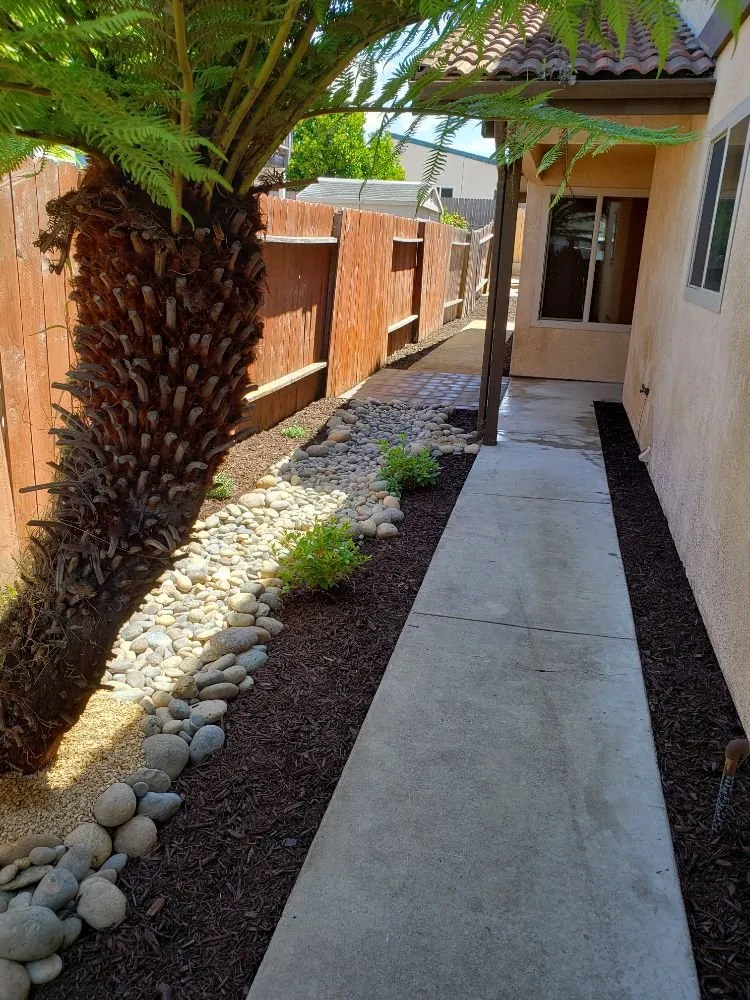 Expert landscaping services experts serving Grover Beach, CA - Tree of Life Lawn and Gardening Service