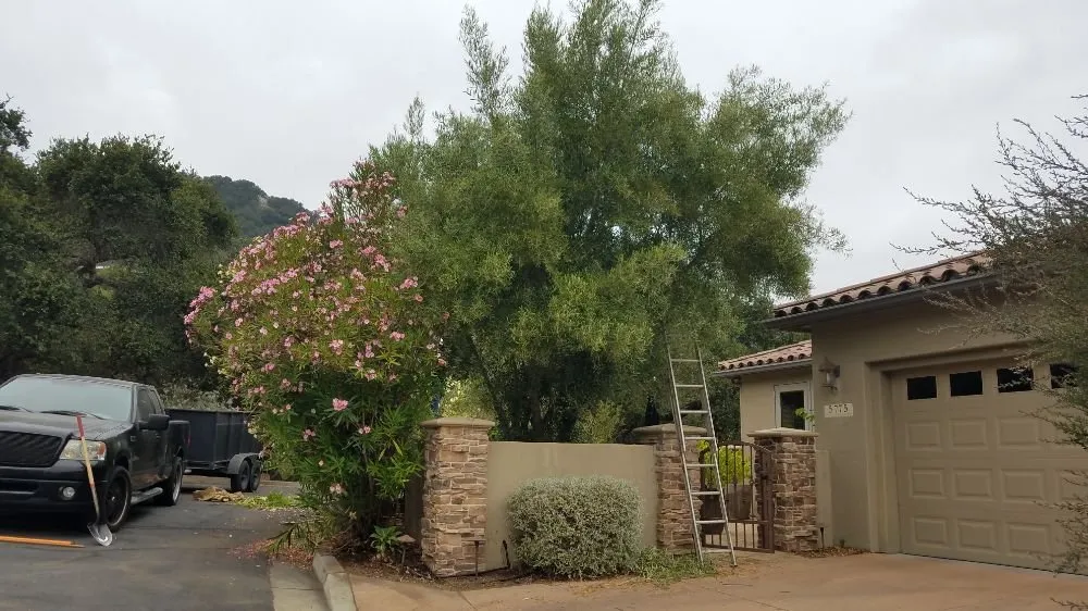 Professional lawn care service in Grover Beach, CA - Tree of Life Lawn and Gardening Service