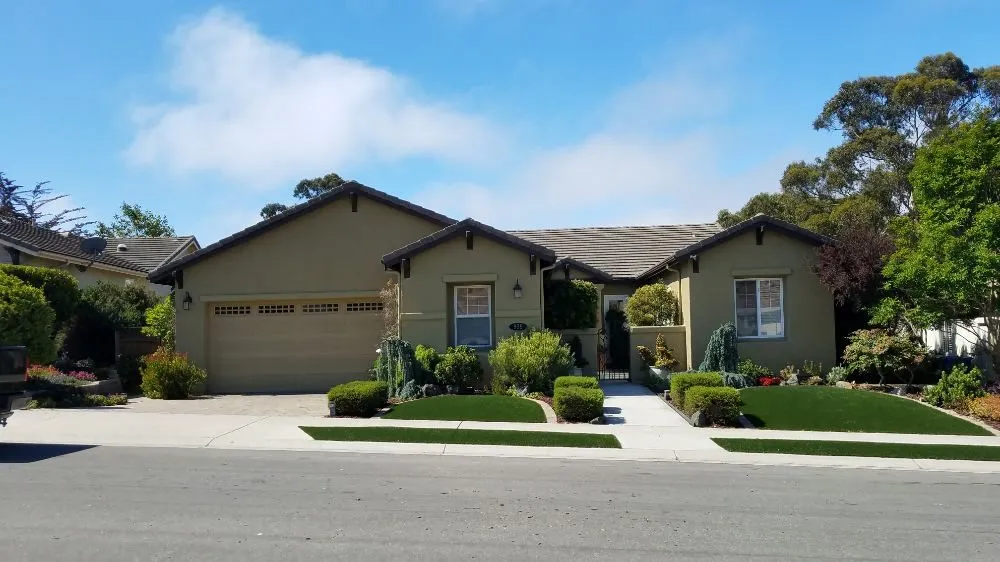 Expert lawn care service in Grover Beach, CA - Tree of Life Lawn and Gardening Service