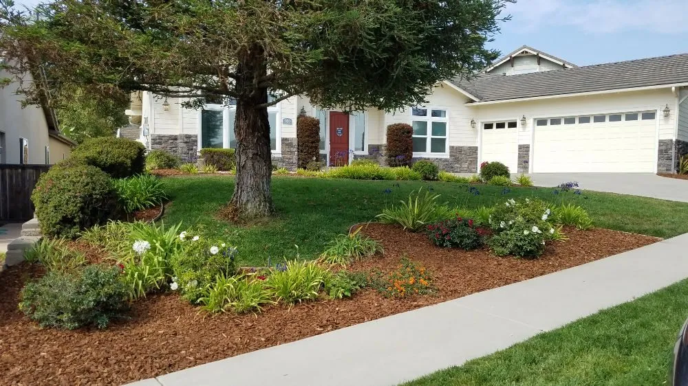 Trusted garden landscaping for outdoor upgrades across Grover Beach, CA - Tree of Life Lawn and Gardening Service