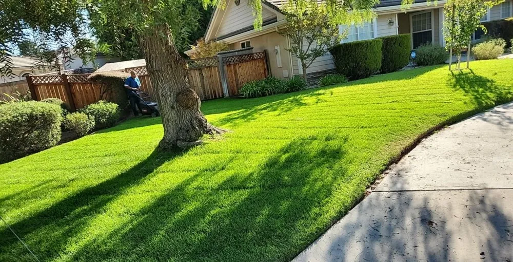 Professional landscaping services for outdoor upgrades across Grover Beach, CA - Tree of Life Lawn and Gardening Service