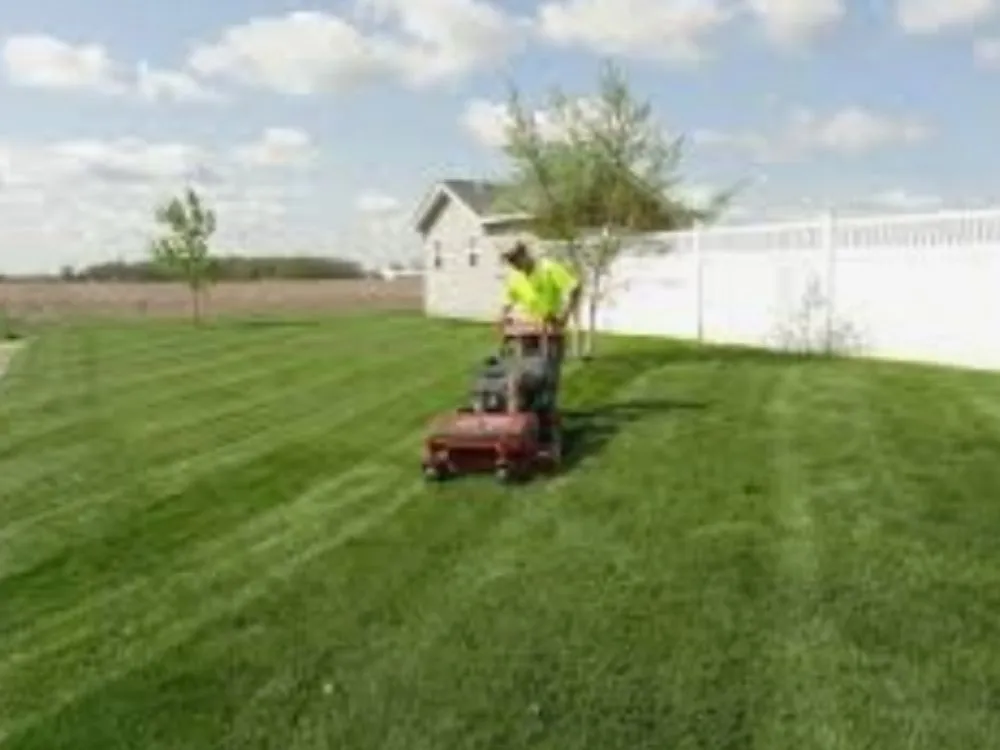 Affordable residential landscaping in Grover Beach, CA by Tree of Life Lawn and Gardening Service