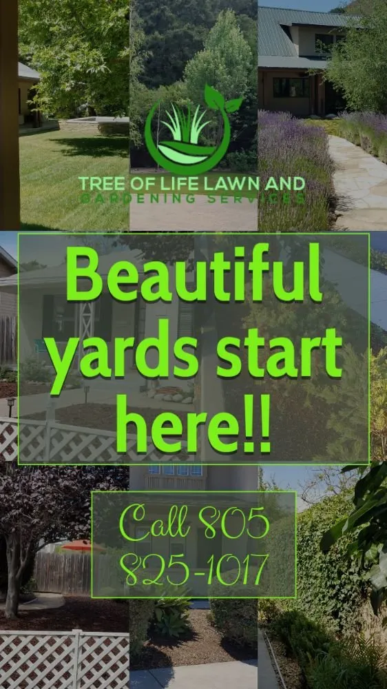Local garden landscaping in Grover Beach, CA - Tree of Life Lawn and Gardening Service