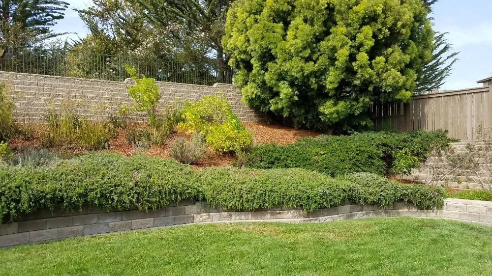 Trusted lawn mowing service in Grover Beach, CA - Tree of Life Lawn and Gardening Service