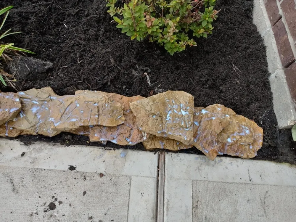 Local lawn care service in Richmond, TX - Tree Of Life Lawn Care & Landscaping