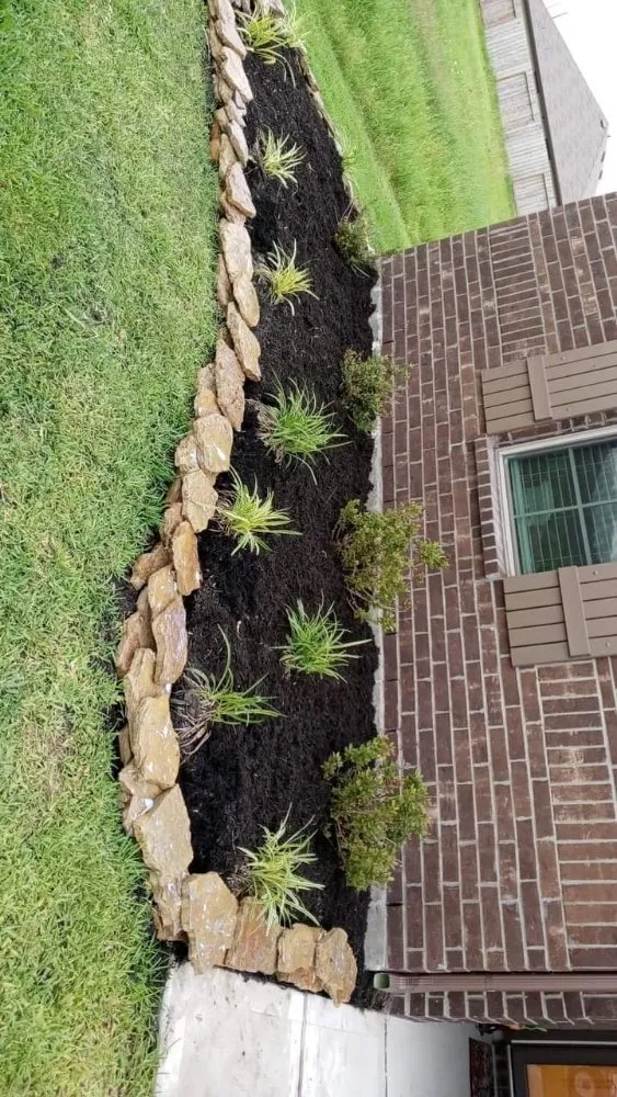 Expert yard cleanup service in Richmond, TX by Tree Of Life Lawn Care & Landscaping