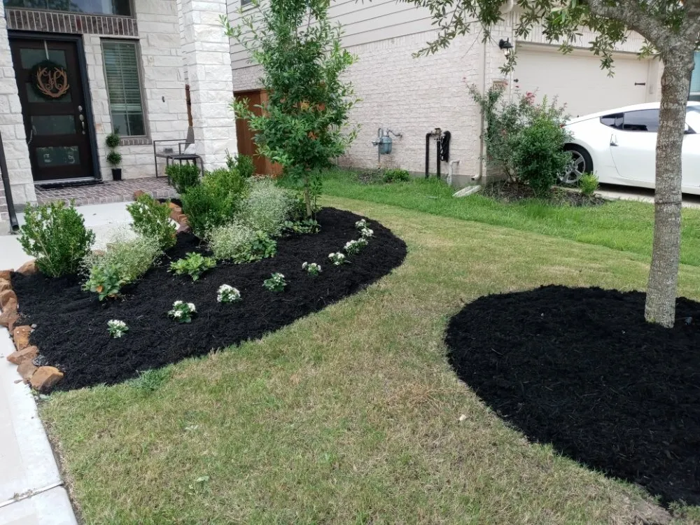 Local outdoor landscaping in Richmond, TX - Tree Of Life Lawn Care & Landscaping