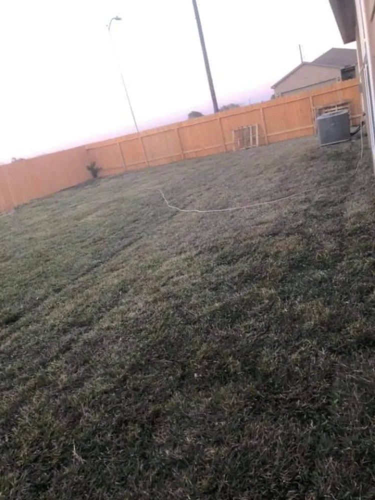 Professional lawn care service experts serving Richmond, TX - Tree Of Life Lawn Care & Landscaping