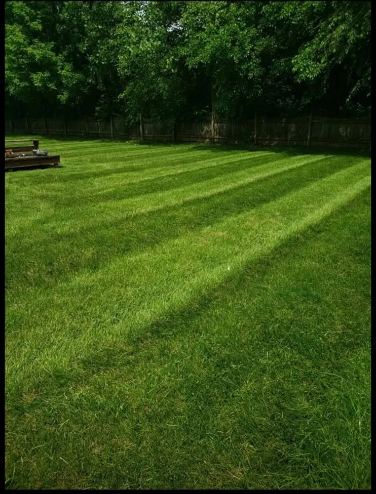 Reliable garden landscaping with custom design in Muncie, IN by Tree of life
