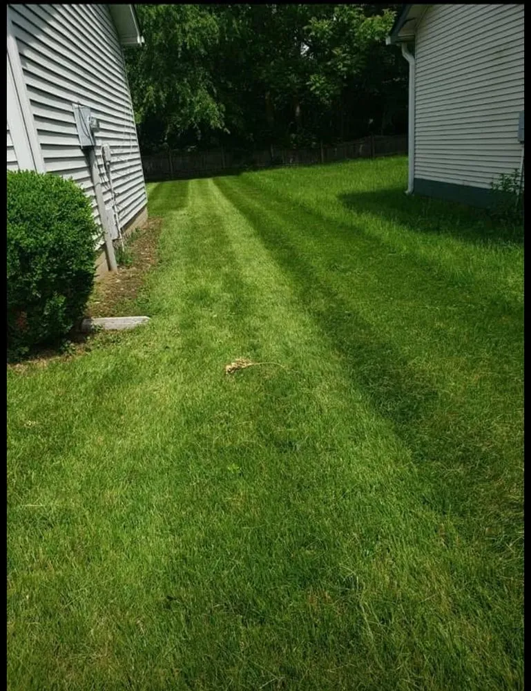 Reliable landscape design for beautiful yards in Muncie, IN by Tree of life