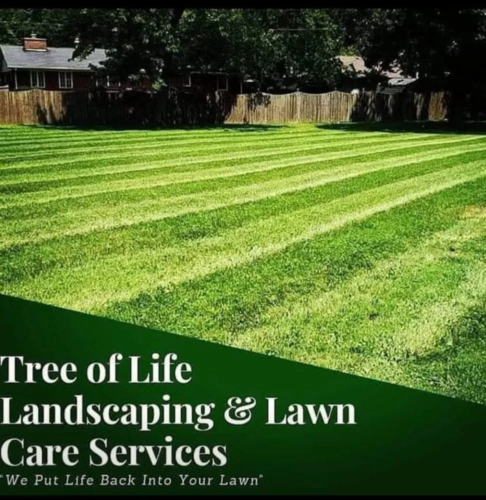 Top-rated landscape design with custom design across Muncie, IN - Tree of life