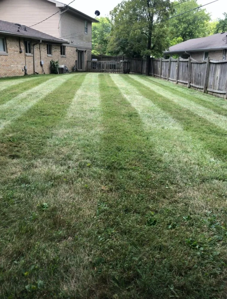Affordable garden landscaping experts serving Muncie, IN - Tree of life