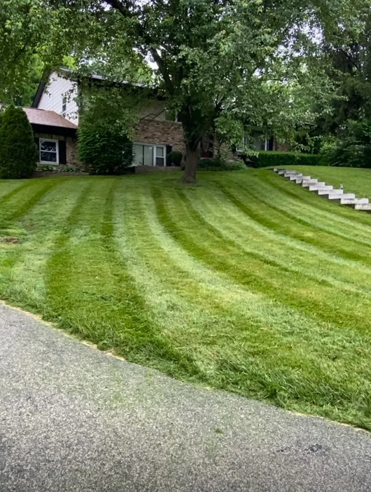 Reliable landscape installation in Muncie, IN by Tree of life