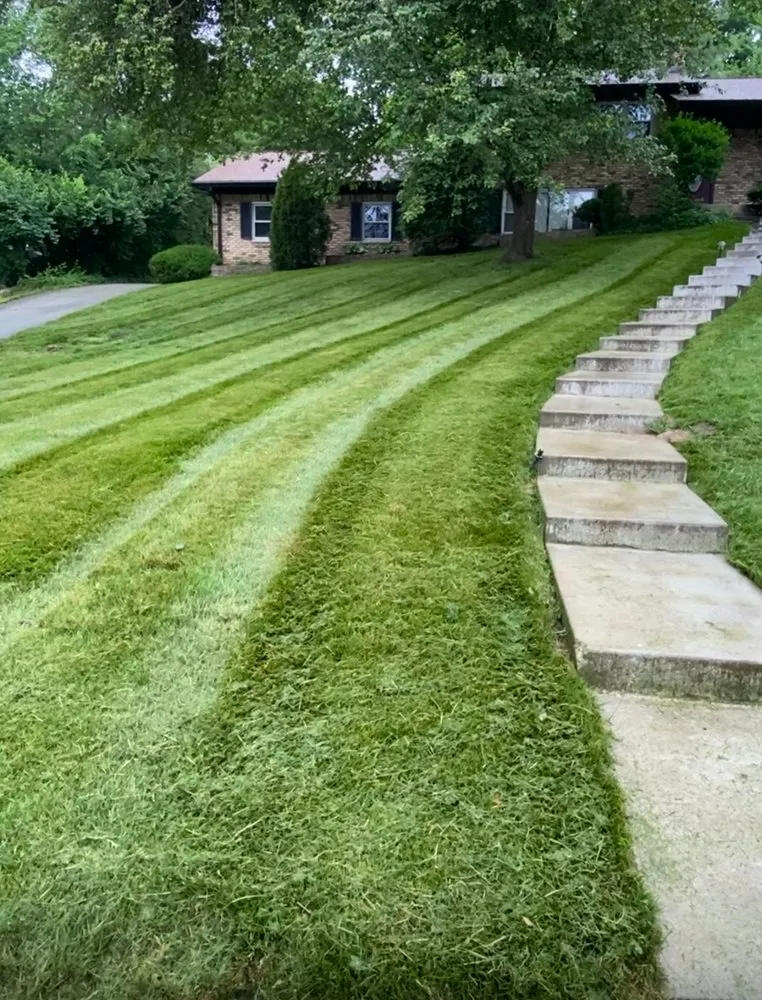 Professional residential landscaping experts serving Muncie, IN - Tree of life