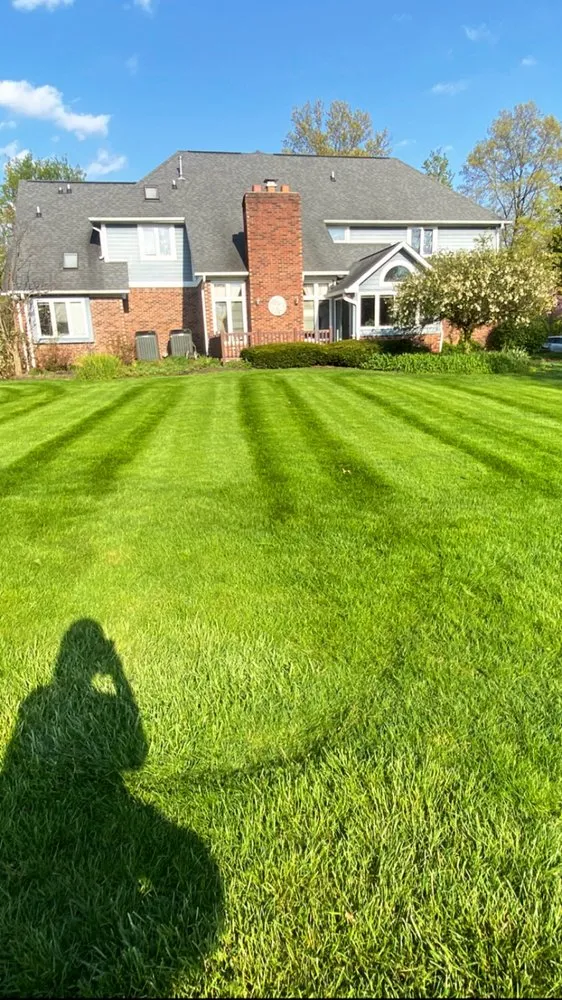 Top-rated garden landscaping near you in Muncie, IN by Tree of life