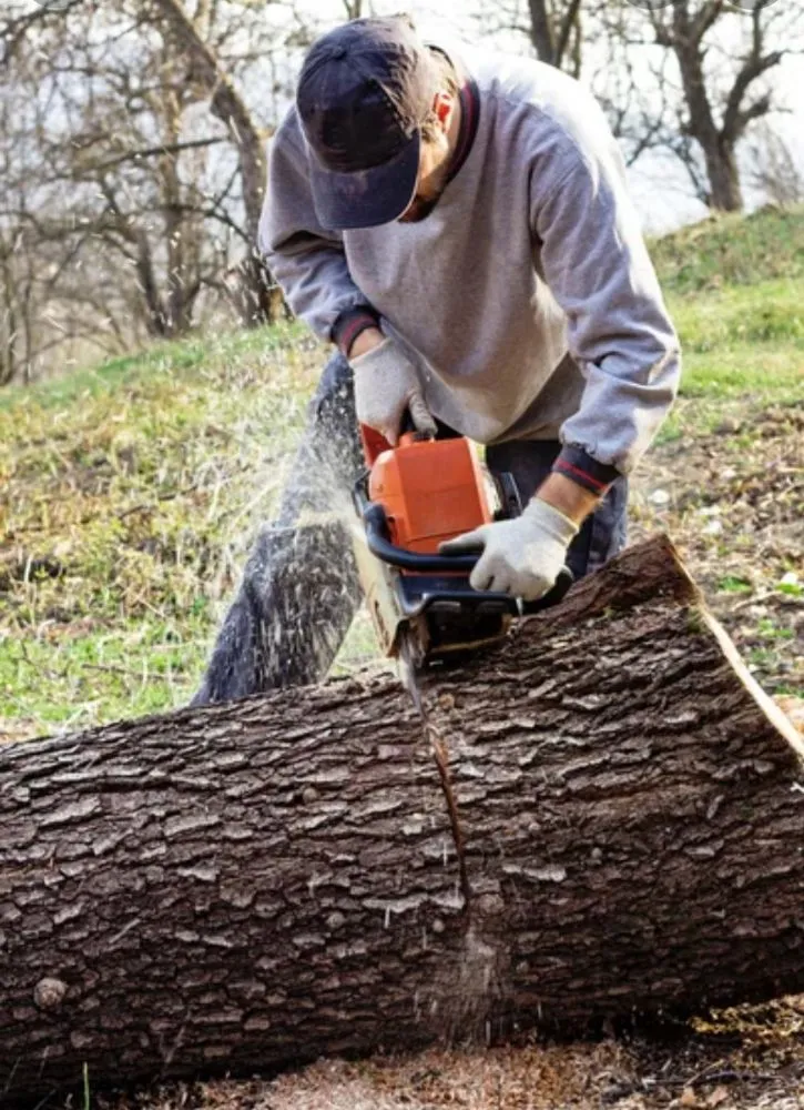 Affordable garden landscaping in Woodbridge Township, NJ by Tree Of Life