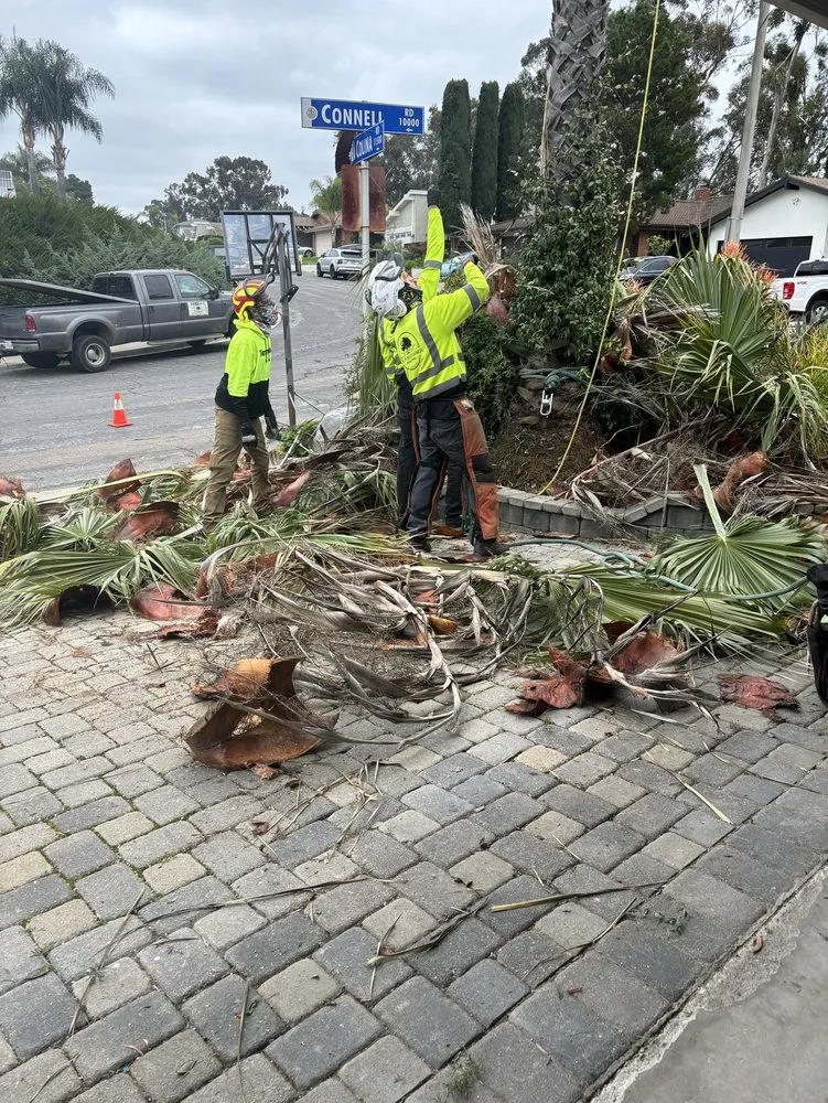 Expert yard maintenance experts serving Redding, CA - Tree of Righteousness